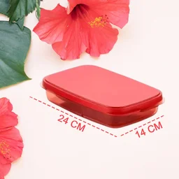 Leak-Proof Lunch Box – 2 Containers, Microwave Safe | Lunchie Bunchie
