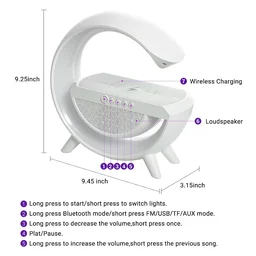 LED Night Lamp with Bluetooth Speaker – Wireless Charging | Indo Glow