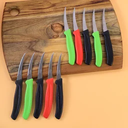 Lemon Knife Set – 10 Pc Stainless Steel Kitchen Cutting Knives