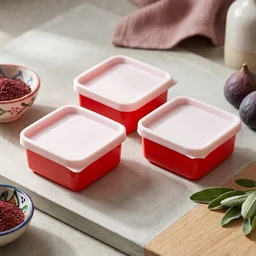 Mini Plastic Food Storage Container – Compact & Multipurpose Kitchen Organizer