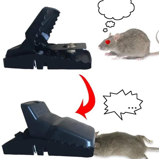 Mouse Trap Cage – Reusable Pest Control for Home |