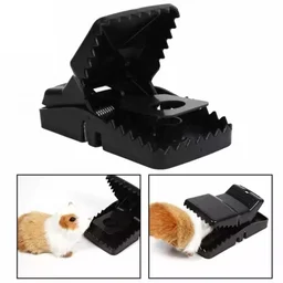 Mouse Trap Cage – Reusable Pest Control for Home |