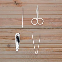 Nail Clipper Set – Stainless Steel 4-Pc Travel Manicure Kit | AuriGlam