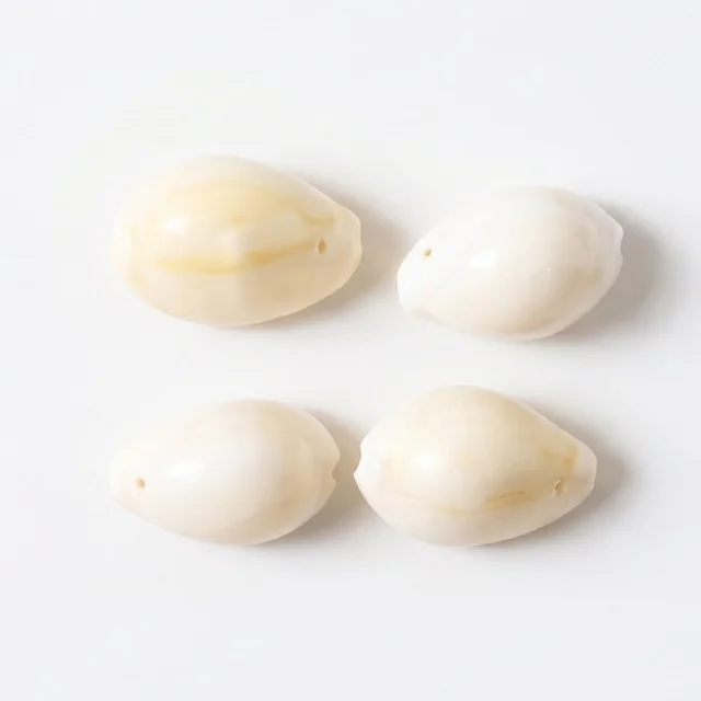 Natural Kaudi Cowrie Shells – Ideal for Pooja & Decor