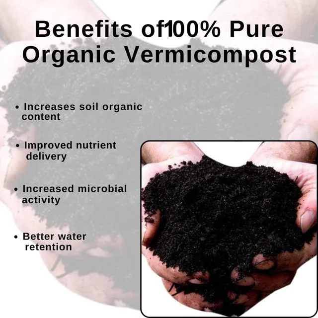 Organic Coco Peat Powder – Natural Soil Conditioner for Plants