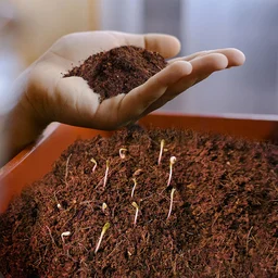 Organic Cocopeat Block – 1 KG Potting Mix for Plants | Styleva