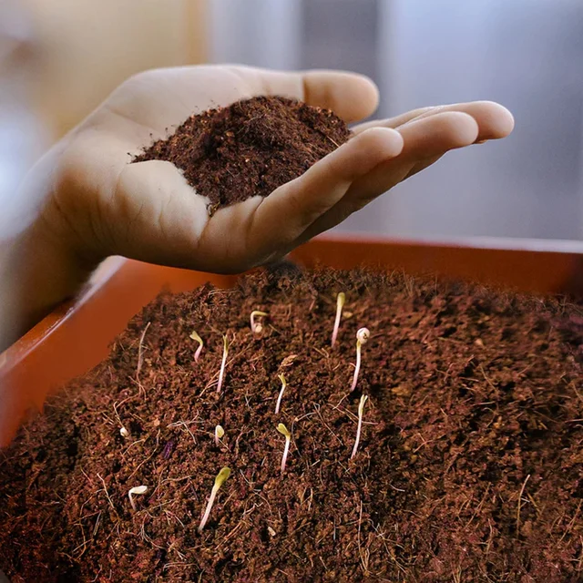 Organic Cocopeat Block – 1 KG Potting Mix for Plants | Styleva