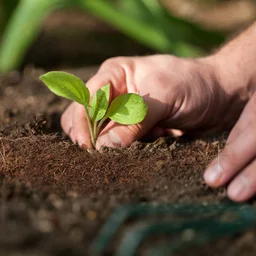 Organic Cocopeat Block – 1 KG Potting Mix for Plants | Styleva