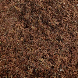 Organic Cocopeat Block – 1 KG Potting Mix for Plants | Styleva