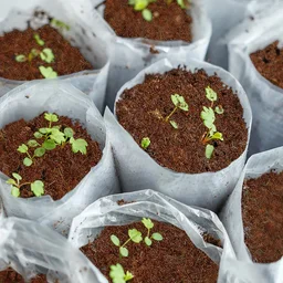 Organic Cocopeat Block – 1 KG Potting Mix for Plants | Styleva