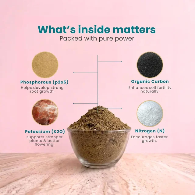 Organic Cow Dung Powder 800g, Natural Soil Improver and Manure for Plants (1 Pc)