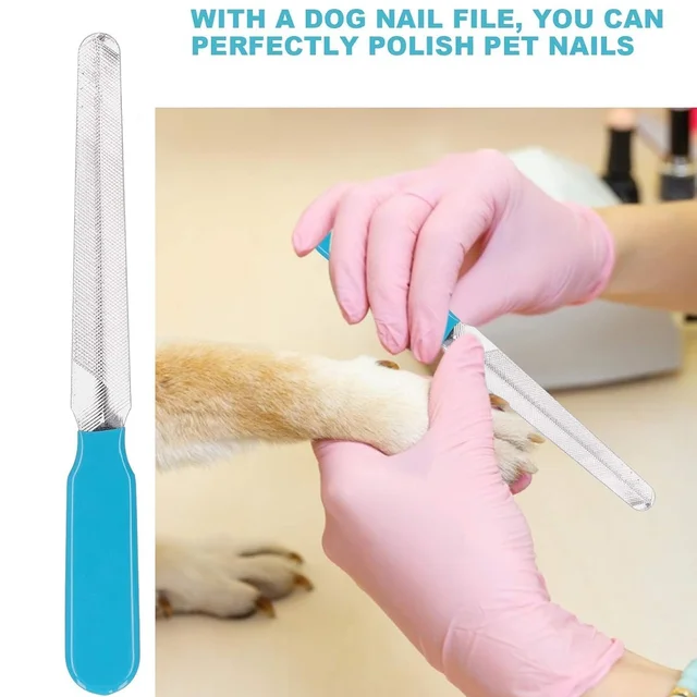 Pet Nail Clipper – Safe & Comfortable Grooming Kit for Dogs & Cats