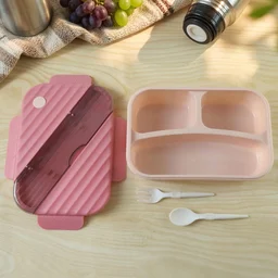 Plastic 3 Compartment Lunch Box for Kids, Organized & Portable