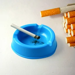 Plastic Ashtray – Durable Wide Bowl with 3 Cigarette Slots