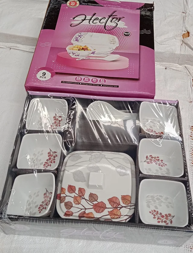 Plastic Dinner Set – 9-Piece Lightweight & Durable | Hector