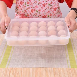 Plastic Egg Storage Container – Clear 24-Grid Fridge Organizer