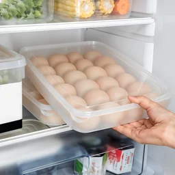 Plastic Egg Storage Container – Clear 24-Grid Fridge Organizer