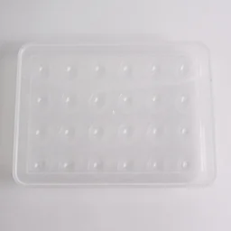 Plastic Egg Storage Container – Clear 24-Grid Fridge Organizer