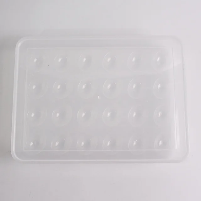 Plastic Egg Storage Container – Clear 24-Grid Fridge Organizer