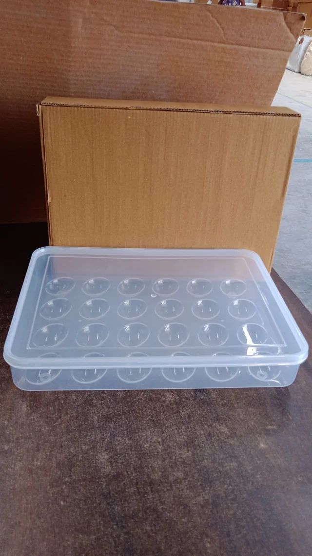 Plastic Egg Storage Container – Clear 24-Grid Fridge Organizer