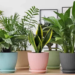 Plastic Flower Pot Set – 5 Durable Planters with Trays | Indo Glow