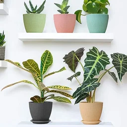 Plastic Flower Pot Set – 5 Durable Planters with Trays | Indo Glow