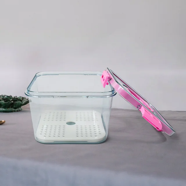 Plastic Food Storage Container – Clear, Airtight 1400ML | Lunchie Bunchie