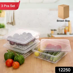 Plastic Food Storage Containers – Set of 3 with Drain Tray | Organivo