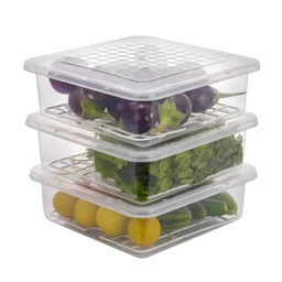 Plastic Food Storage Containers – Set of 3 with Drain Tray | Organivo