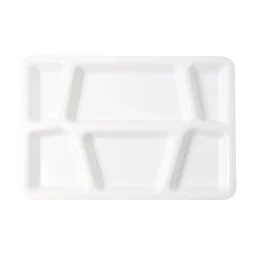 Plastic Multi-Compartment Meal Serving Tray – 6 Sections for Neat Portioning