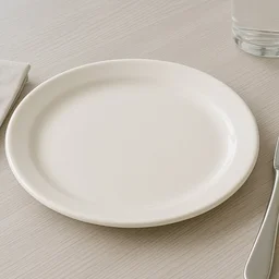Plastic Round Dinner Plate – 23 cm Durable & Glossy