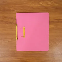 Premium Spring File Folder – Heavy Duty A4 Document Organizer
