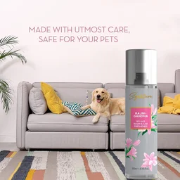 Rajnigandha Floral Room & Car Freshener – Long-lasting & Eco-friendly