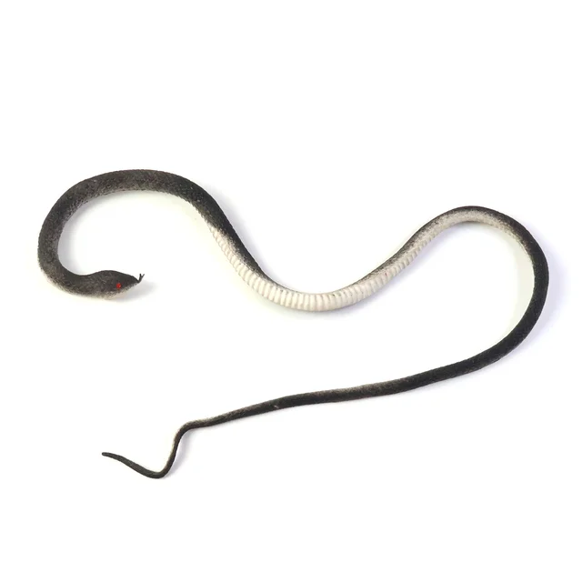 Realistic Rubber Snake Toy – Flexible & Lifelike Prank Fun