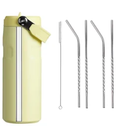 Reusable Stainless Steel Straws – Set of 4 with Brush | SparkleTidy