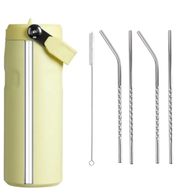 Reusable Stainless Steel Straws – Set of 4 with Brush | SparkleTidy