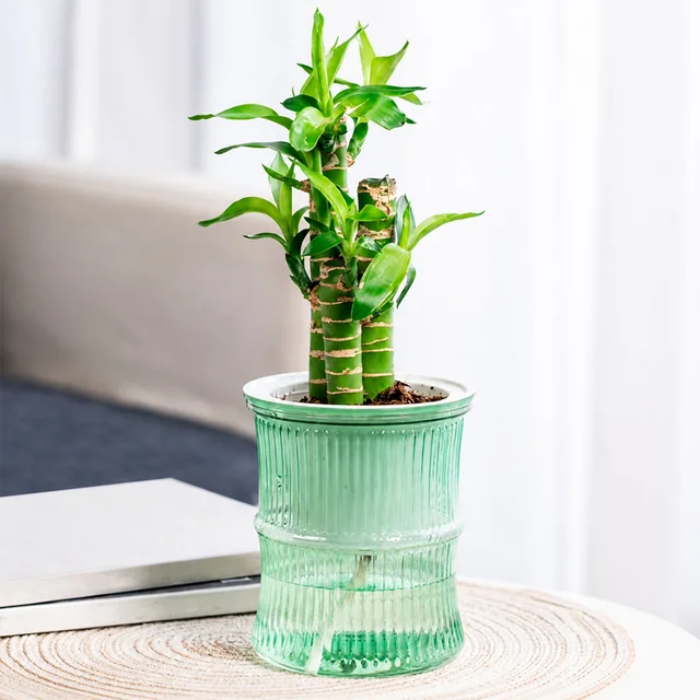 Self-Watering Bamboo Style Plastic Flower Pot – Easy Indoor Plant Care
