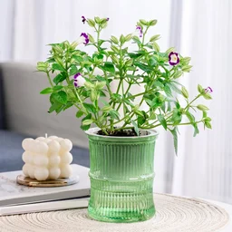 Self-Watering Bamboo Style Plastic Flower Pot – Easy Indoor Plant Care