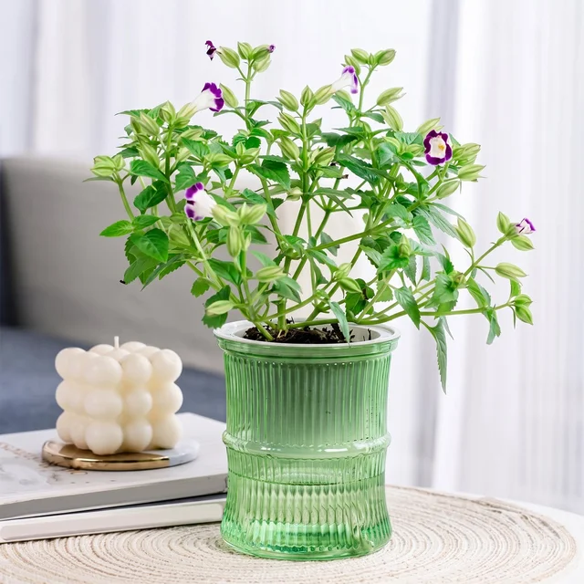Self-Watering Bamboo Style Plastic Flower Pot – Easy Indoor Plant Care