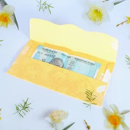 Shagun Envelopes – Premium Cash Gift Set (10 Pcs) | Mist & Relax