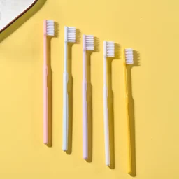 Soft Plastic Toothbrush Set – 20 Pcs with Travel Box | BrushedUp
