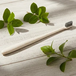 Soft-bristle Toothbrush – Wheat Straw for Gentle Care | MintGuard