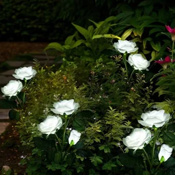Solar Garden Decorative Flower Lights – Set of 2 LED Roses