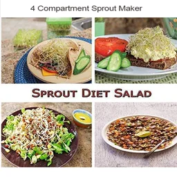 Sprout Maker 4 Compartment – Fresh & Healthy Sprouts | Tidy Table