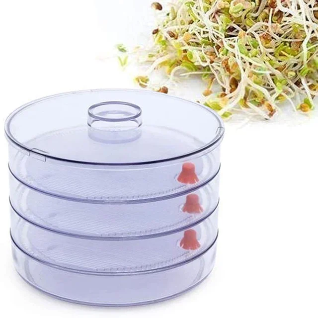 Sprout Maker 4 Compartment – Fresh & Healthy Sprouts | Tidy Table