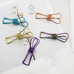 Stainless Steel Clothes Clips – Multipurpose & Sturdy | BathNova