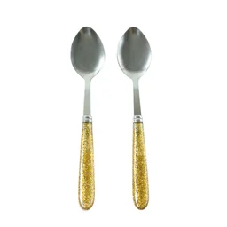 Stainless Steel Dining Spoon Set – Elegant Glitter Handles, Pack of 2