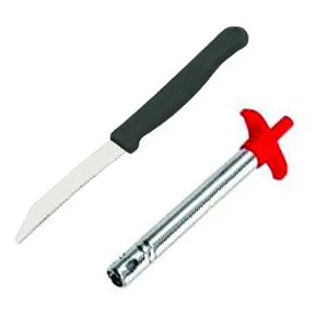 Stainless Steel Gas Lighter & Knife Set – 2-in-1 Kitchen Tool | ChefArmor