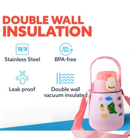 Stainless Steel Insulated Water Bottle 700ML - Leak Proof & Durable