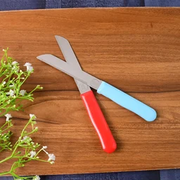 Stainless Steel Kitchen Knife Set – Sharp & Durable 10 Pieces